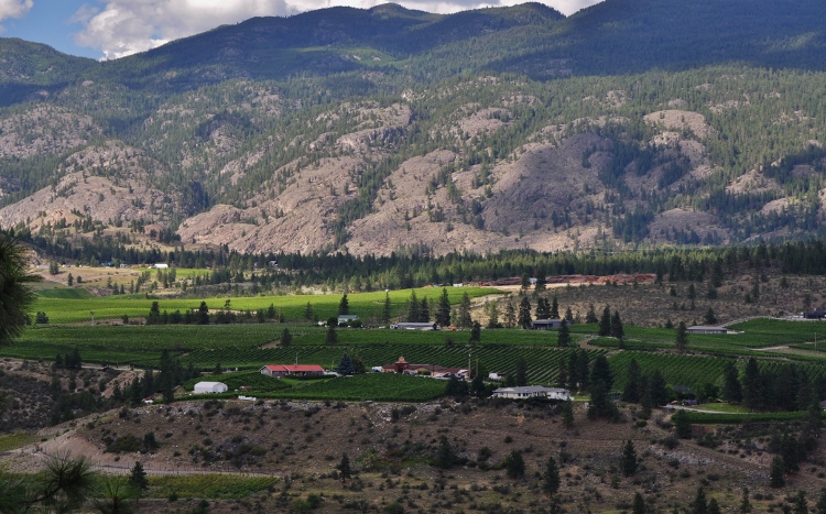 mountain scene